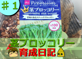 Thumbnail of post image 170